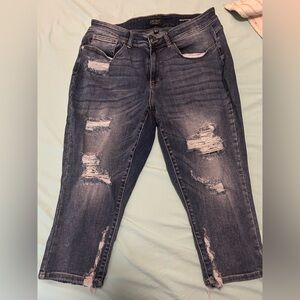 Judy Blue Skinny Fit Capri 16W